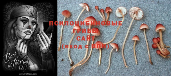 стаф Алексеевка