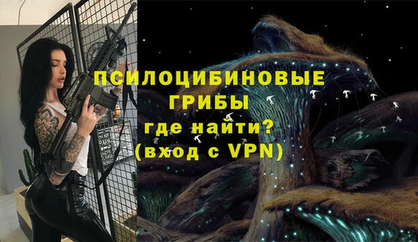 крисы Алзамай