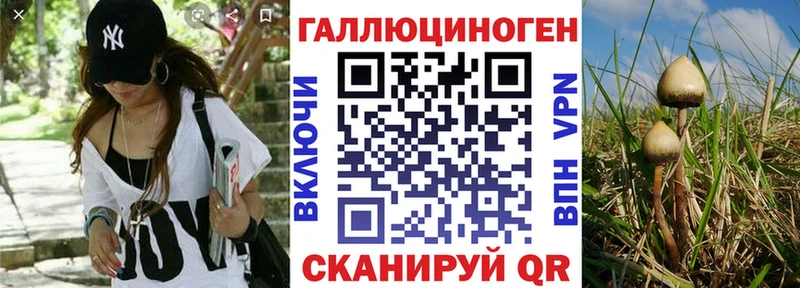 Галлюциногенные грибы Cubensis  мега ONION  Фрязино 